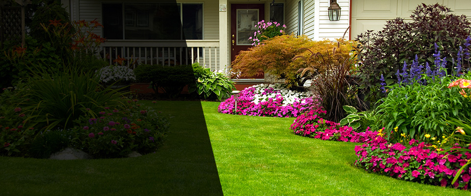 Longville Landscapers