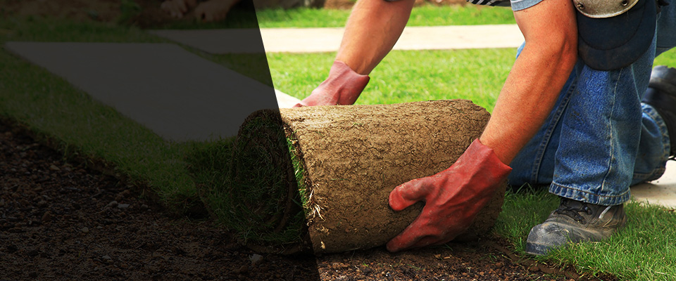 Longville Landscapers